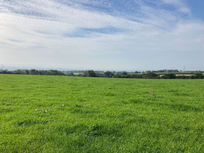 12 acres Land, Land At Hill Farm, West Monkton TA2 - Sold