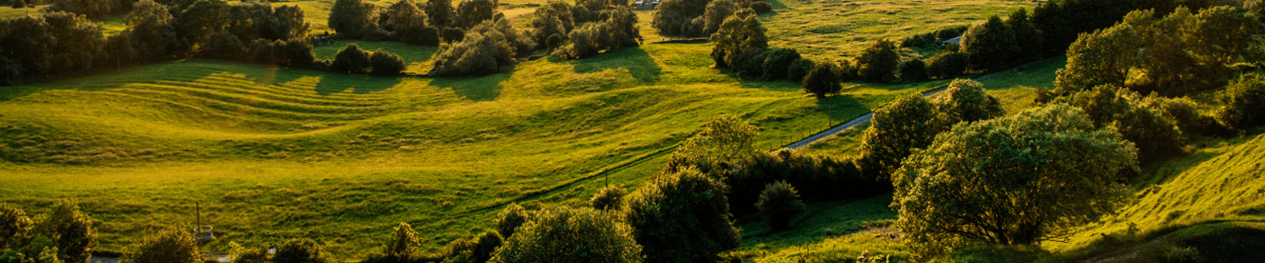 Vast green farmland with small trees