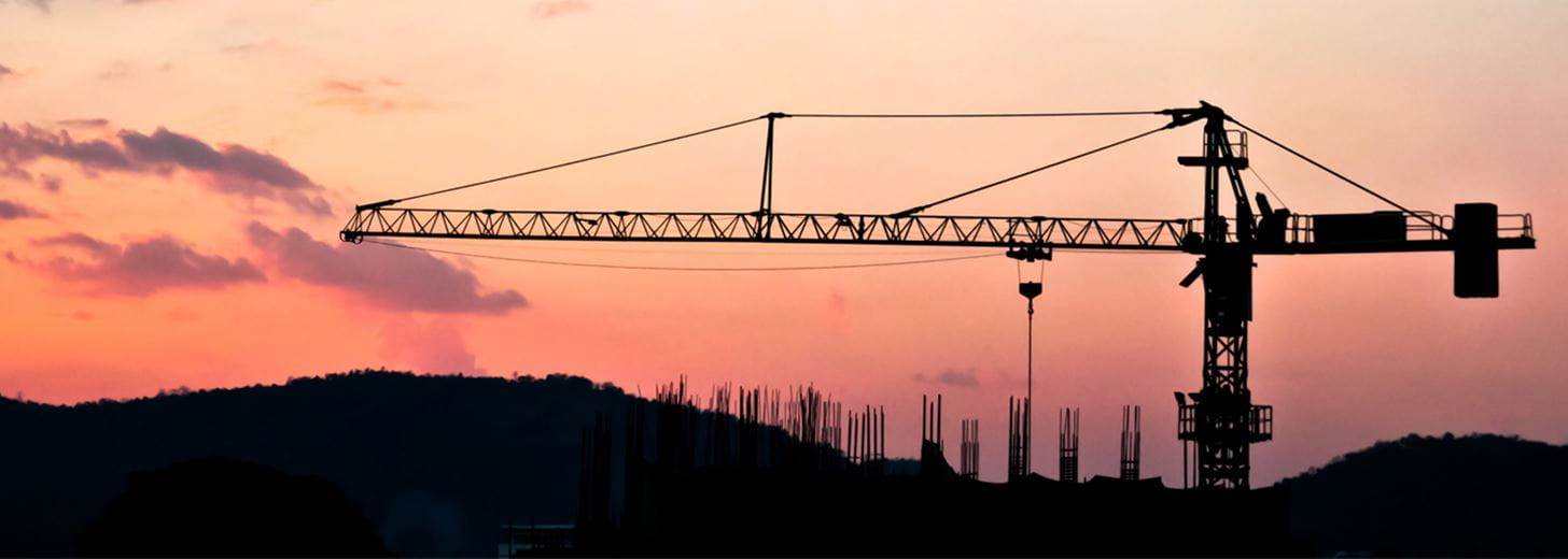 Crane in sun set