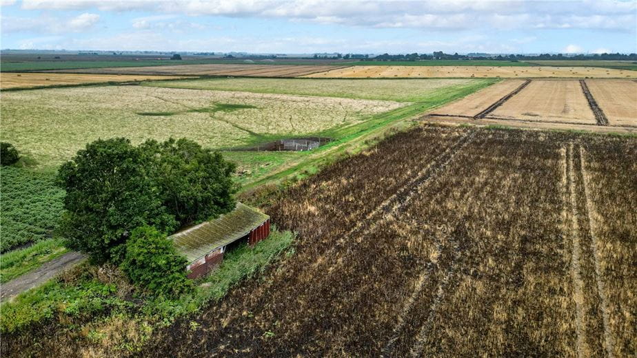 6.5 acres Land, Little Downham, Ely CB6 - Available