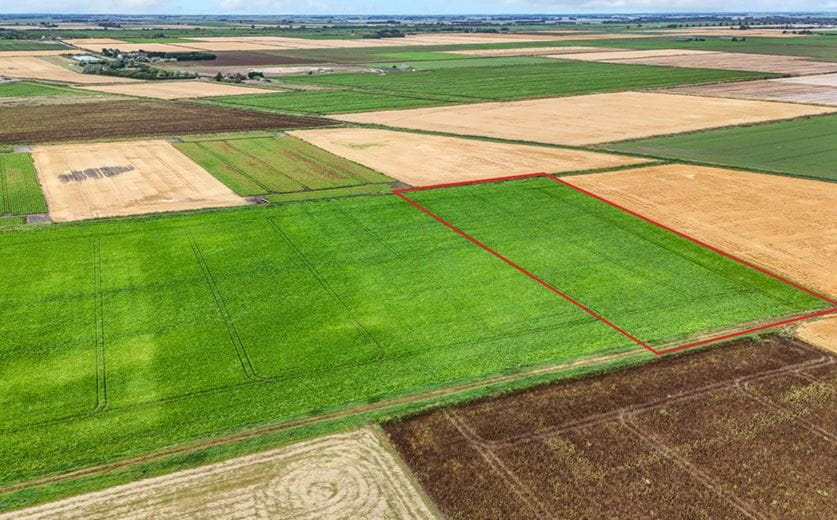 6.6 acres Land, Little Downham, Ely CB6 - Available