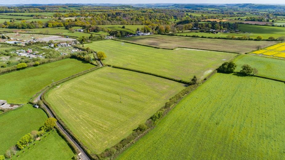 37.3 acres Land, Lot 4: Land At Cannfield Farm, Cann SP7 - Available