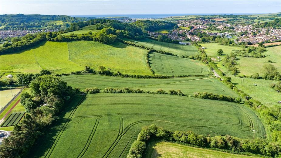 82.3 acres Land, Watton Hill, Bridport DT6 - Available