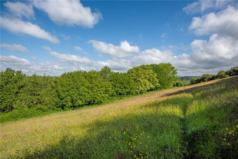 1.8 acres Land, Lot 5: Watton Hill, Bridport DT6 - Available