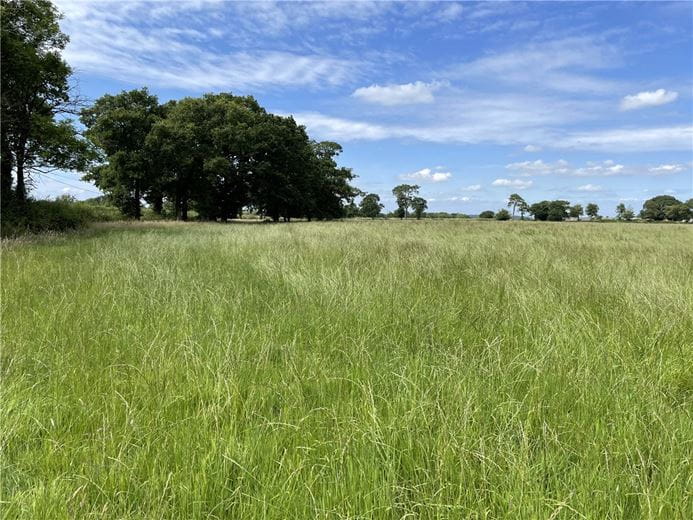 34 acres Land, Dunkeswell, Honiton EX14 - Available