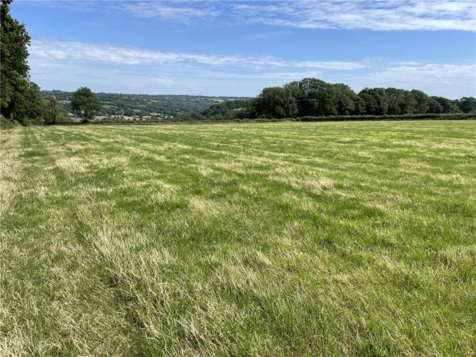 34 acres Land, Dunkeswell, Honiton EX14 - Available