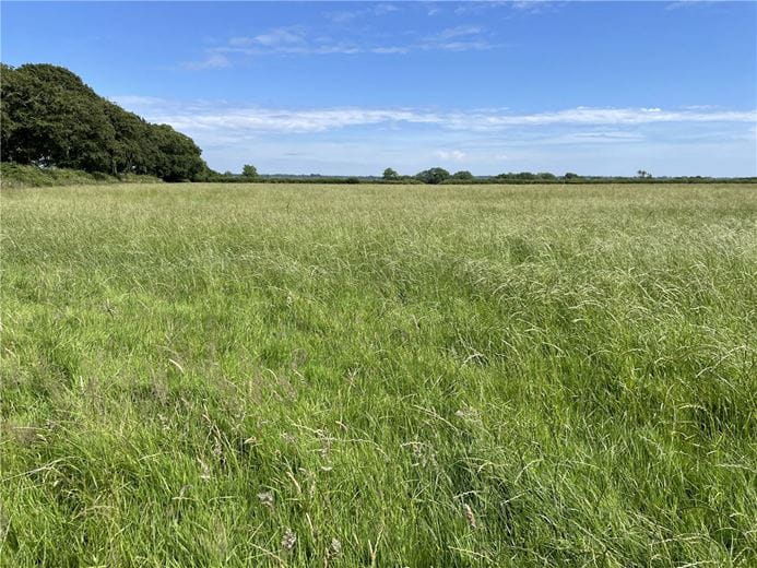 34 acres Land, Dunkeswell, Honiton EX14 - Available