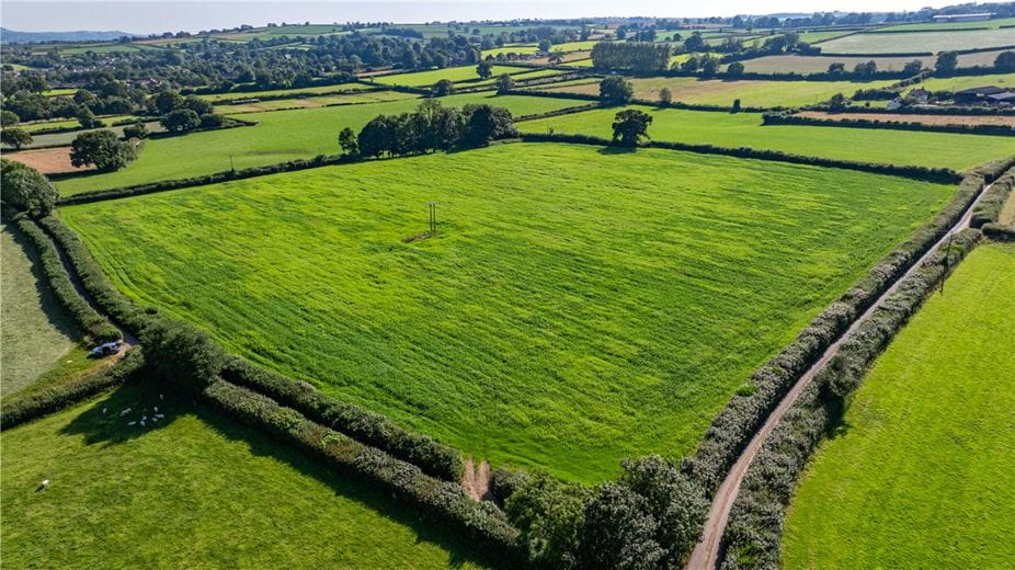 11.1 acres Land, Lot 2: Land At Forton, Chard TA20 - Available