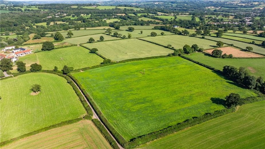 11.1 acres Land, Lot 2: Land At Forton, Chard TA20 - Available