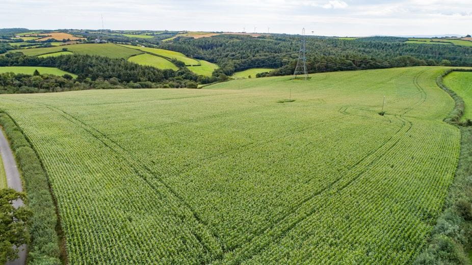 41 acres Land, Lot 5: Land At Great Huxhill Farm, Weare Giffard EX39 - Available