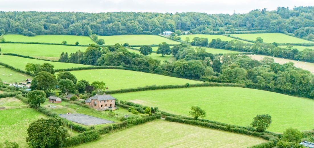 43.6 acres Land, Tipton St. John, Sidmouth EX10 - Available