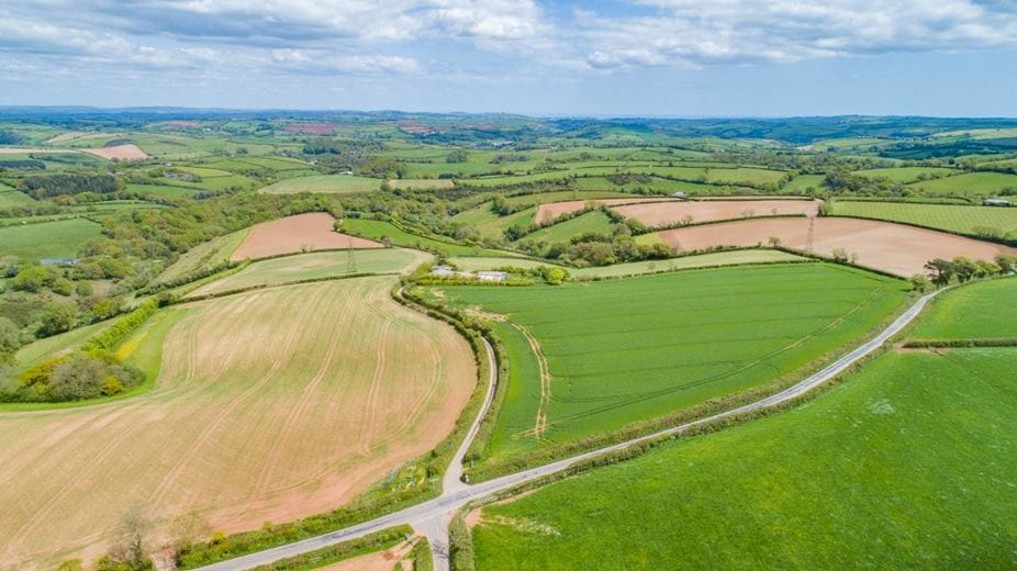 121 acres Land, Halwell, Totnes TQ9 - Available