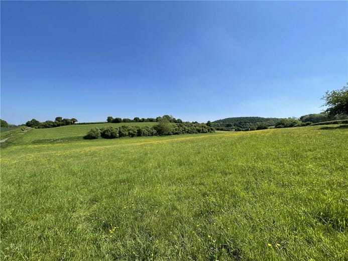 15.2 acres Land, Ecchinswell, Newbury RG20 - Available