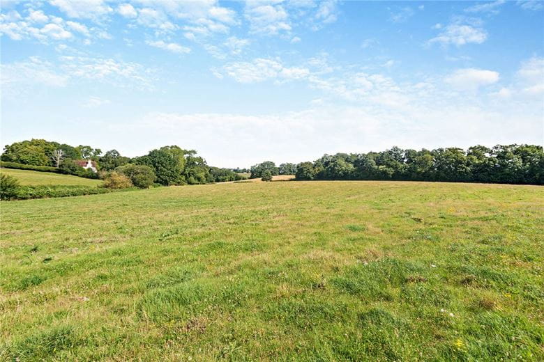 36.2 acres Land, Union Road, Bradfield RG7 - Sold